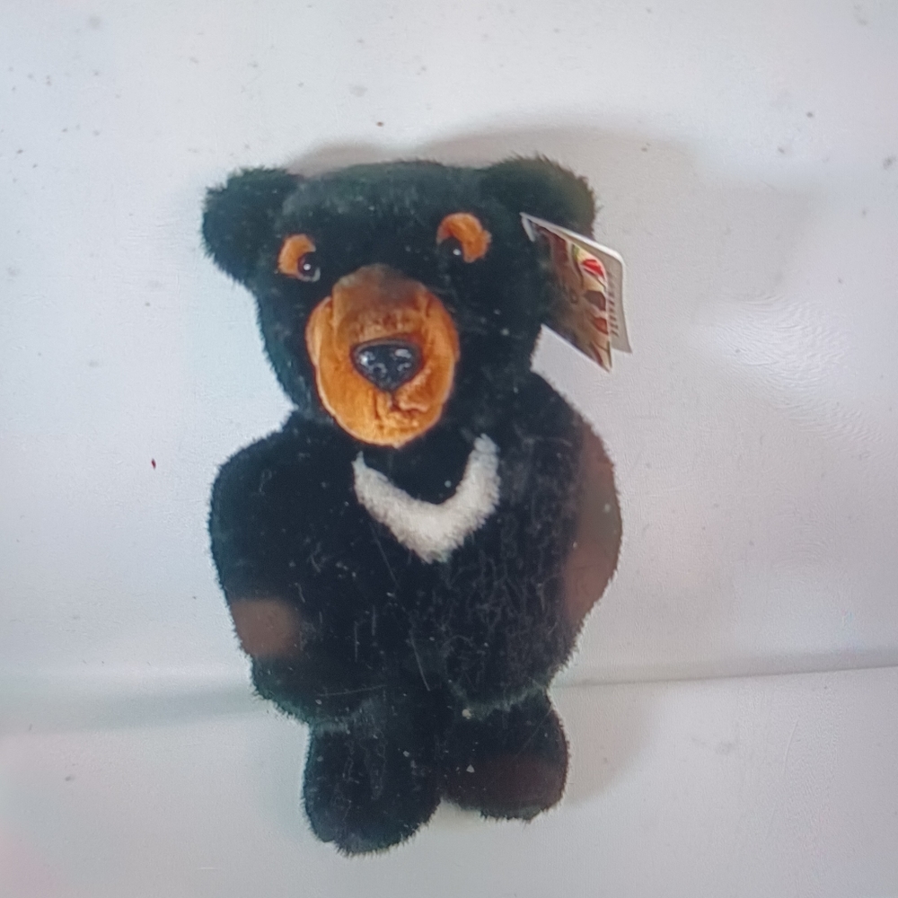 Wild & Wonderful Black Bear plush